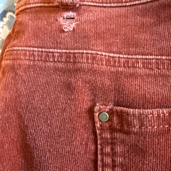 Chico's‎ Terracotta Straight Leg Pants - Picture 6 of 6